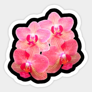 orchid floral orchids flower tendril Sticker